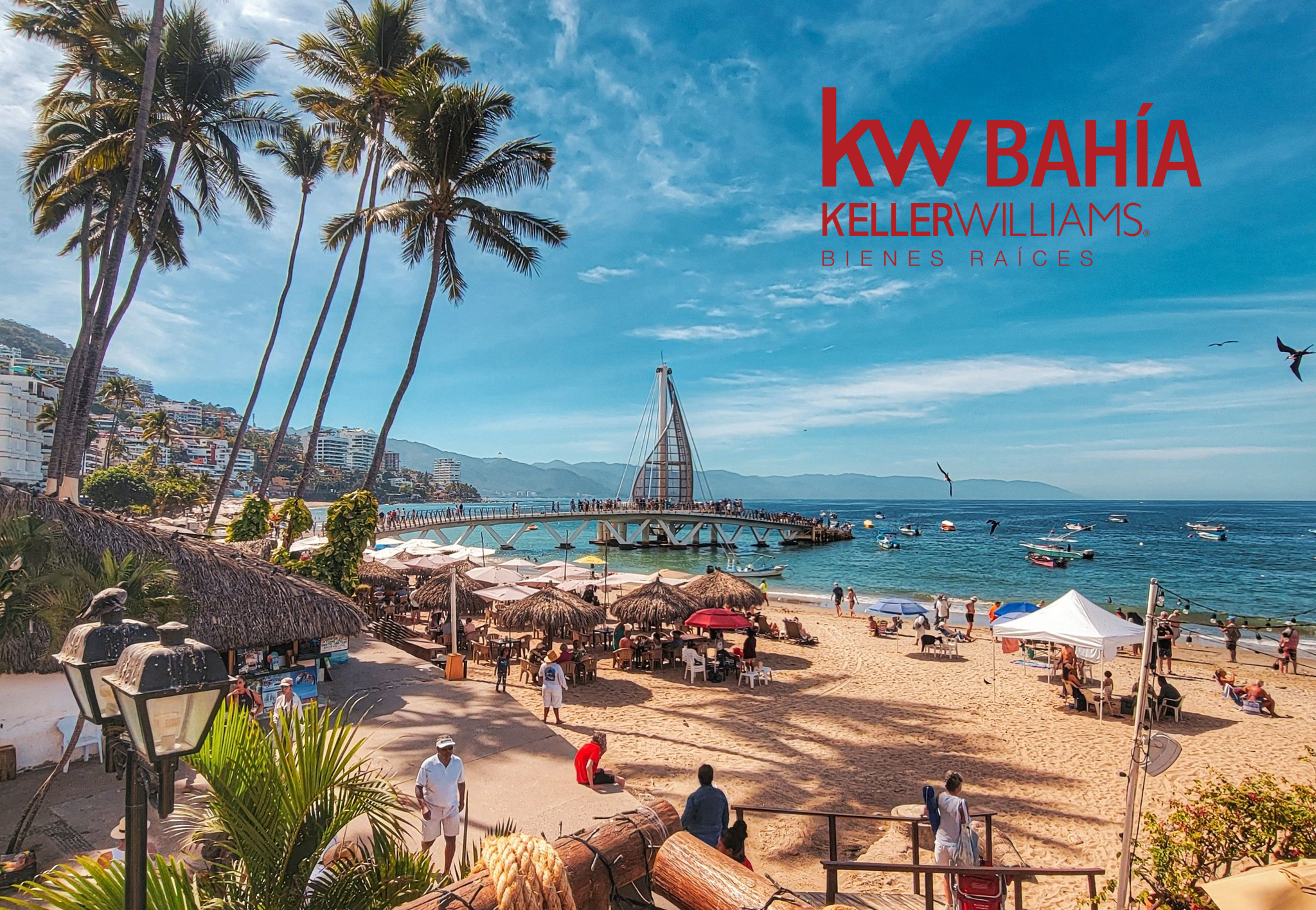 Portada de New store