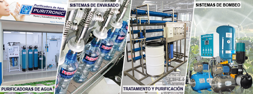 Portada de Puritronic