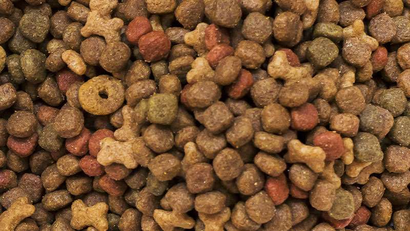 Portada de Comercializadora Can Can