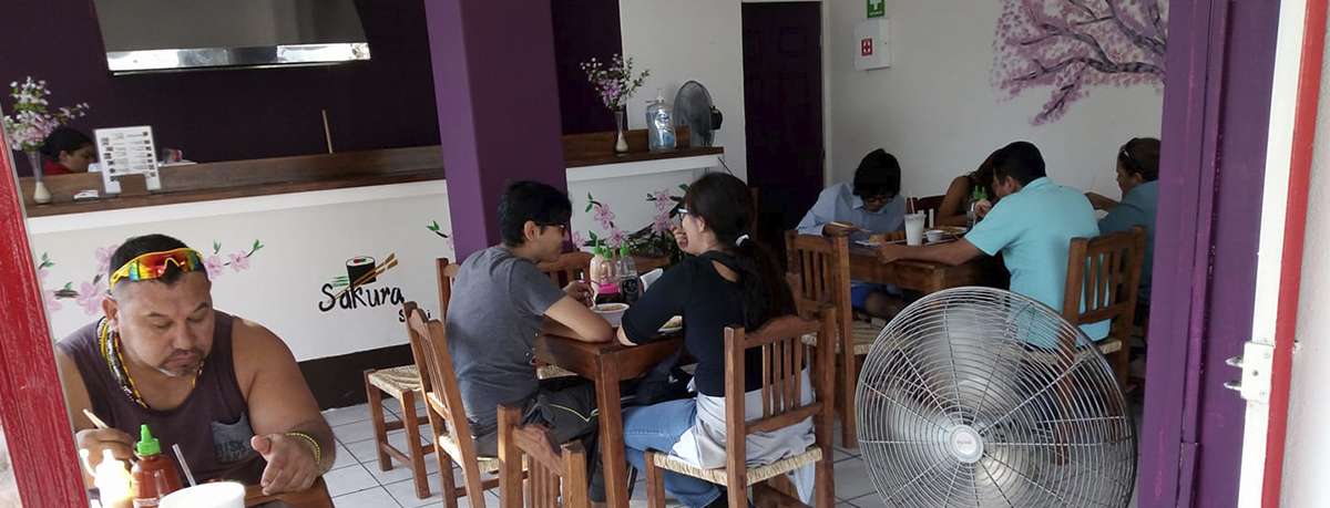 Portada de Sakura Sushi