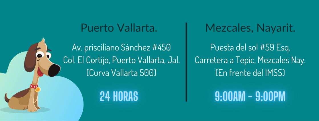 Portada de Centro Médico Veterinario