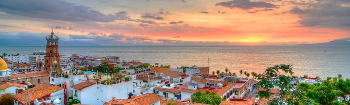 Portada de TRAFIC TOURS