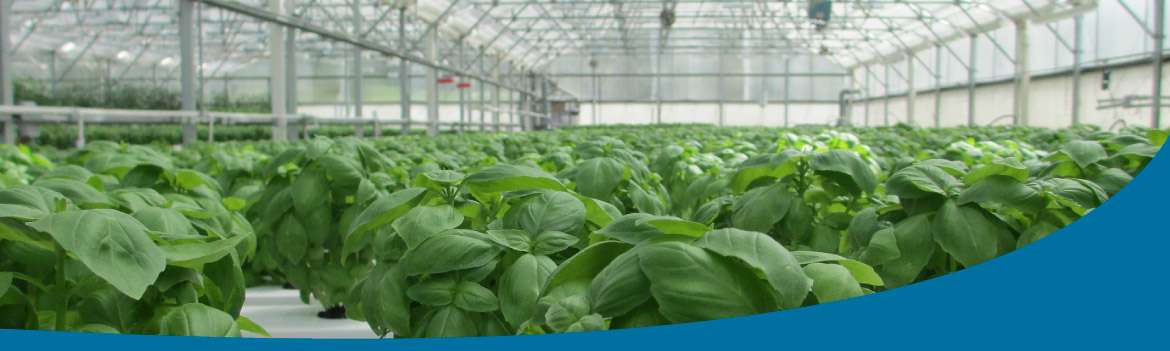 Portada de Los Bosques Agroquimicos