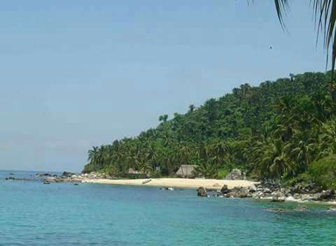 Portada de New store