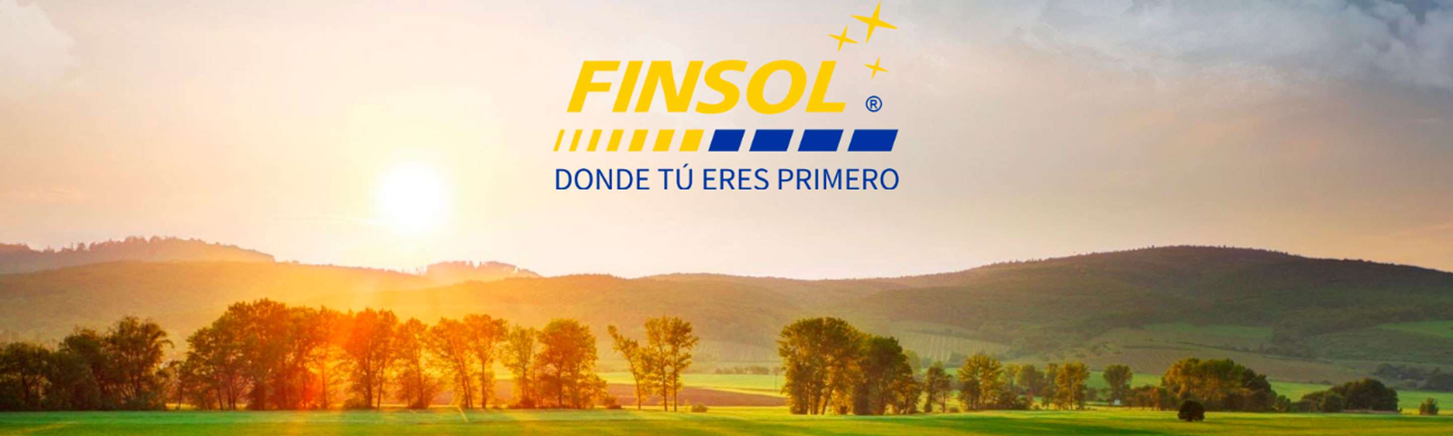Portada de Finsol Microcrédito