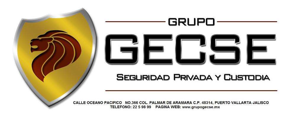 Portada de Grupo Gecse