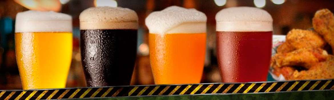 Portada de WINGS ARMY NUEVO VALLARTA