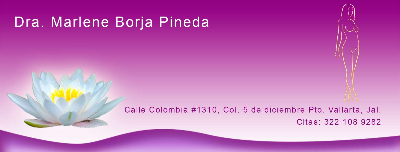 Portada de ELEGANCE MEDICAL