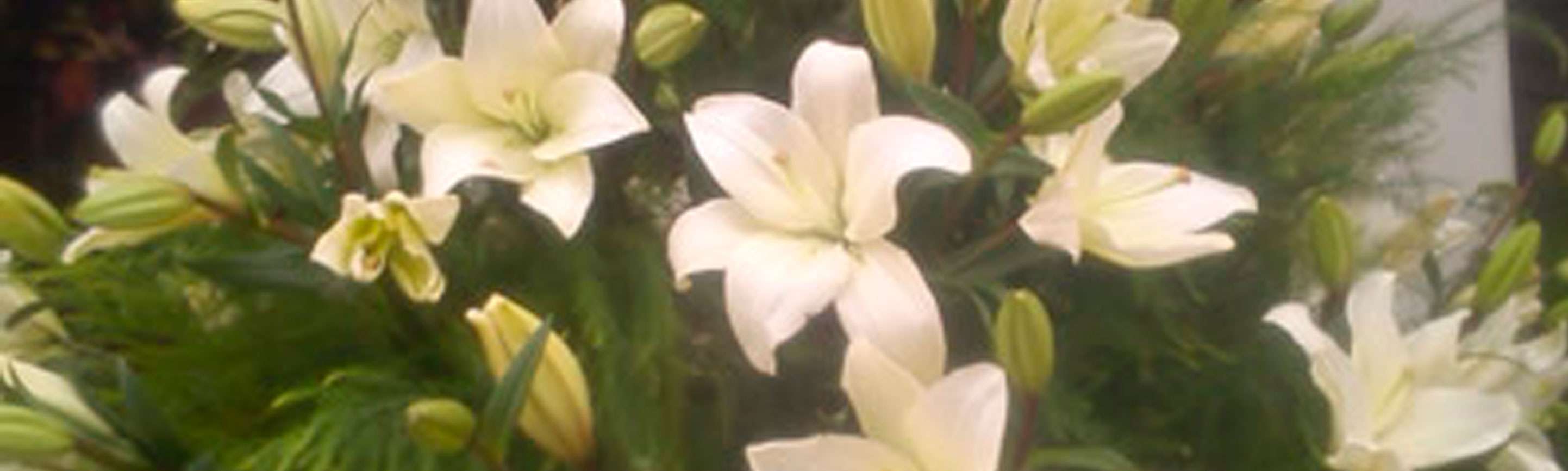 Portada de Floreria del Prado