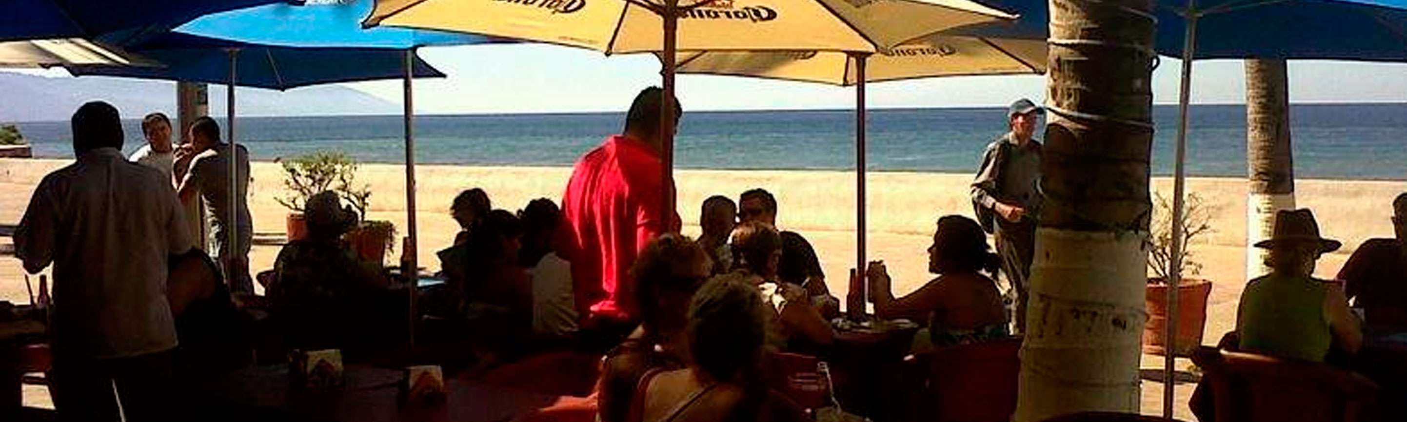 Portada de Oasis Bay