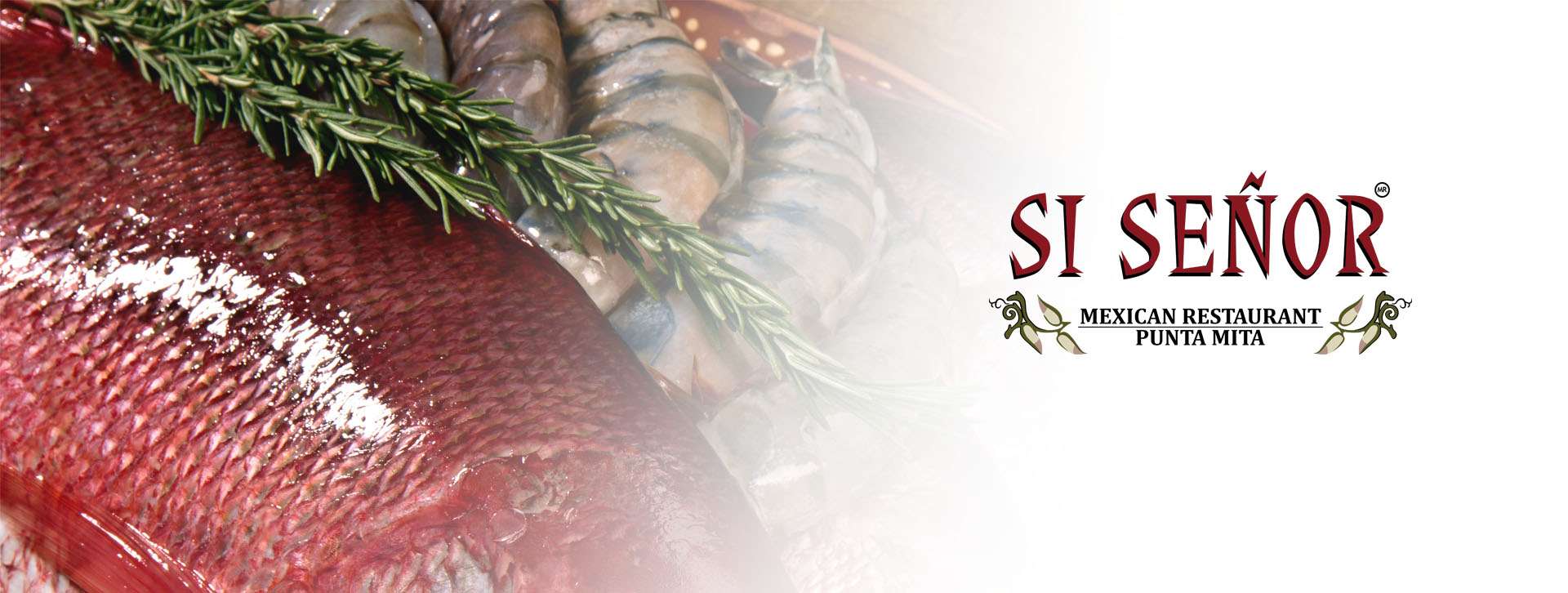 Portada de Si Señor punta de mita