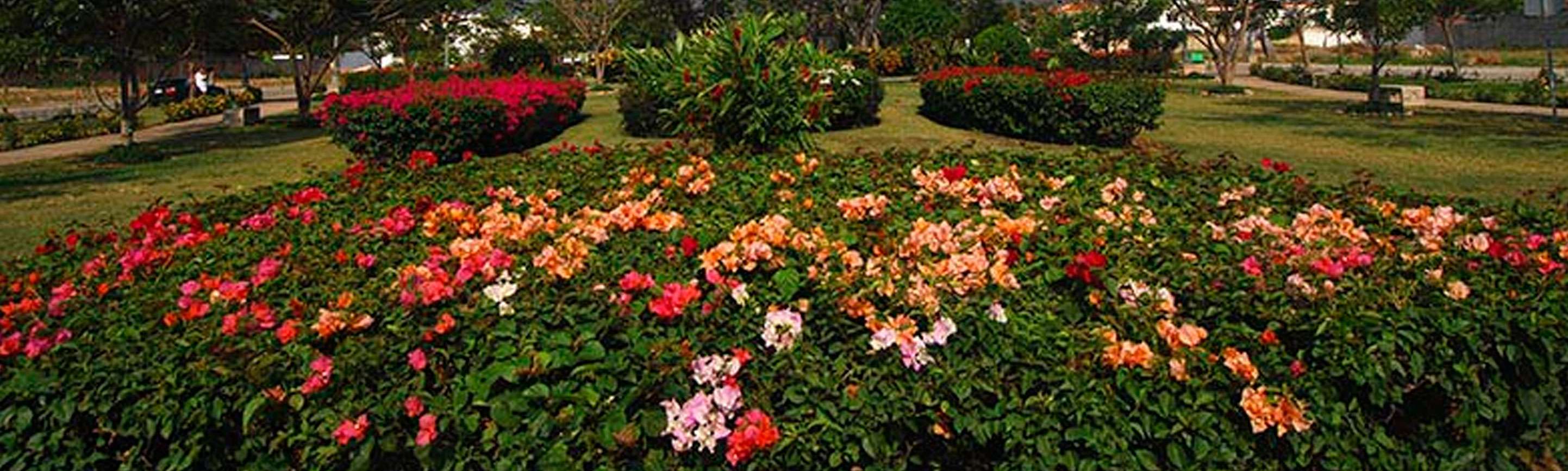 Portada de Residencial Fluvial Vallarta