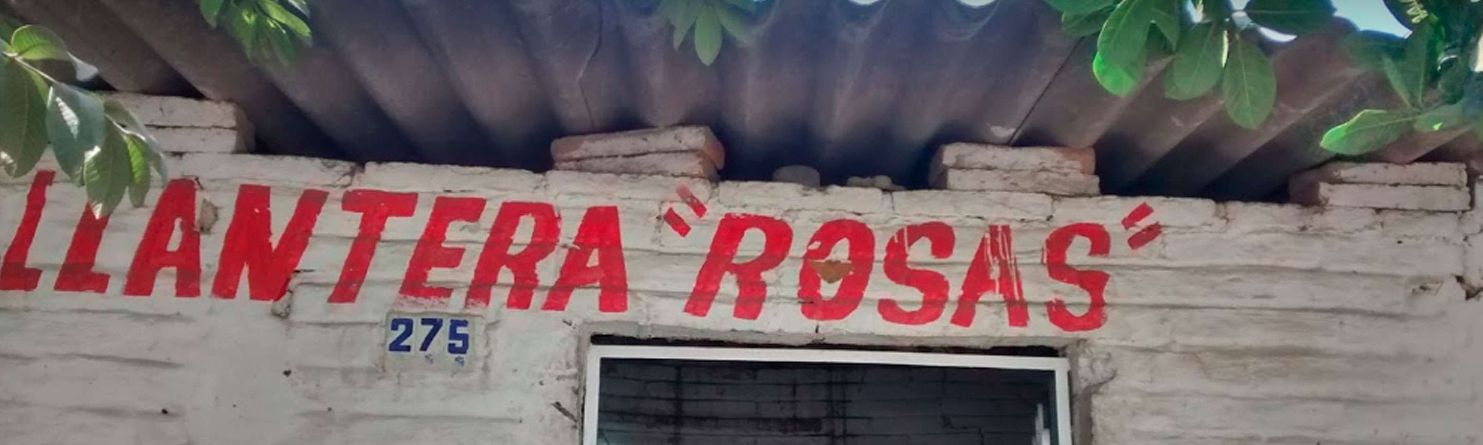 Portada de Llantera Rosas