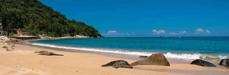 Portada de Mc Fadden Group