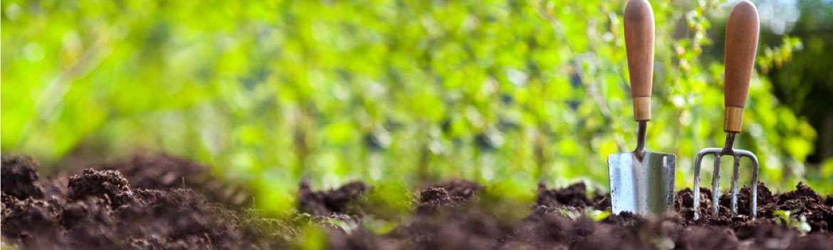 Portada de Krafty Mex