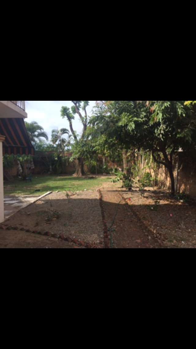 Portada de New store