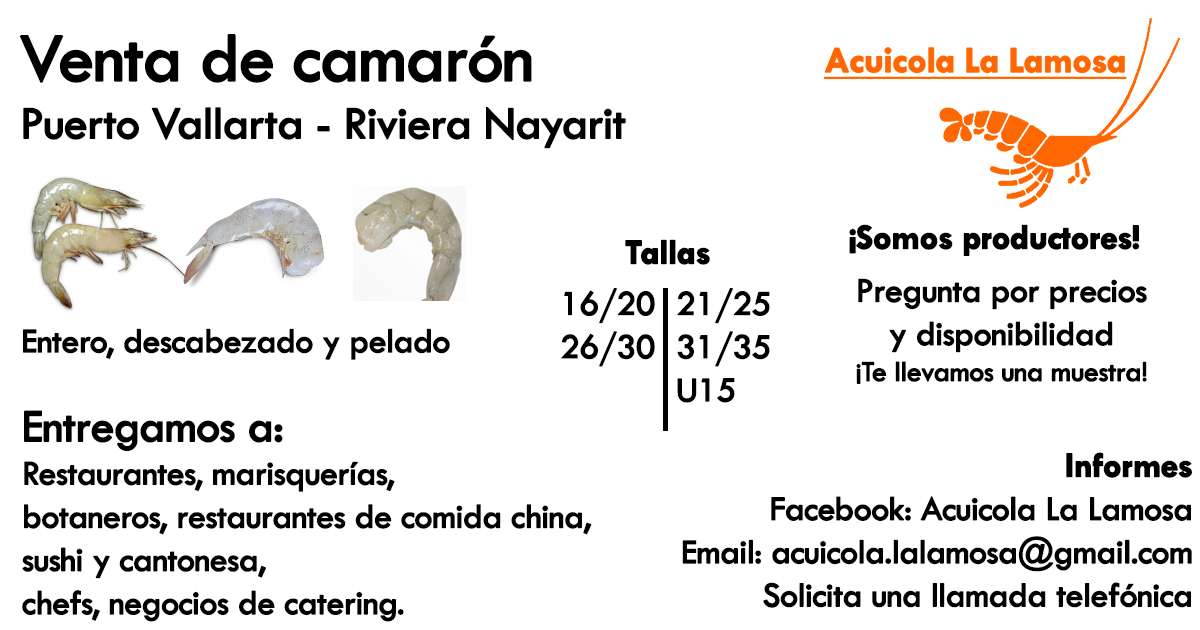 Portada de New store