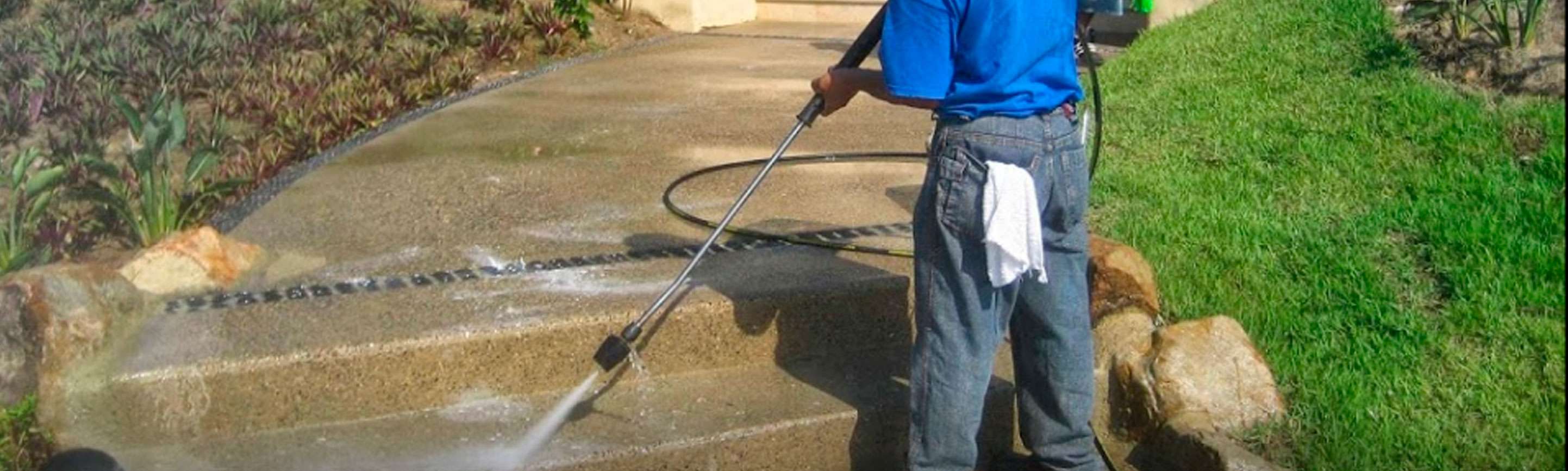 Portada de Pura Limpieza