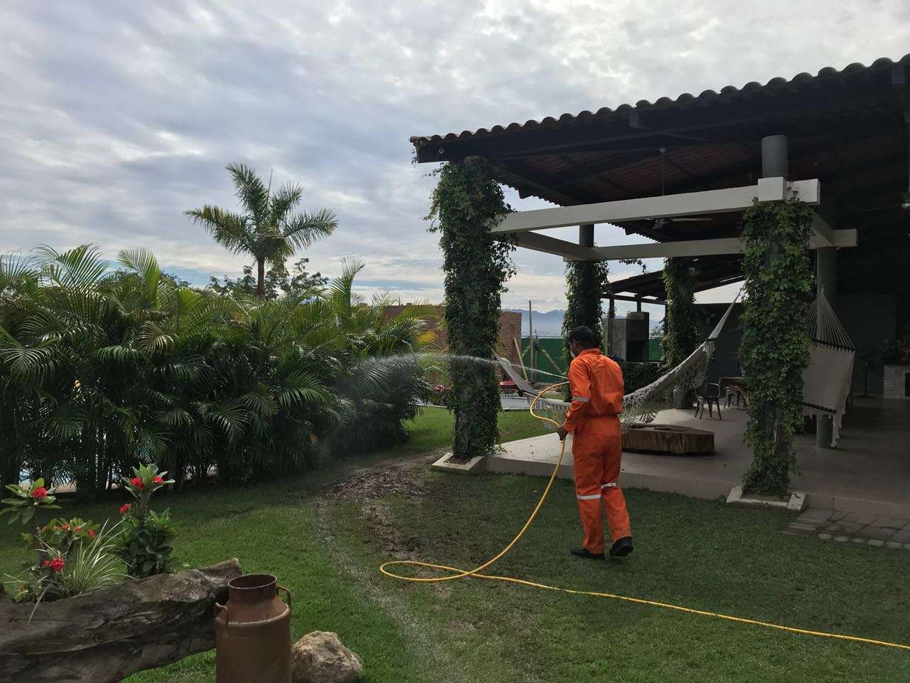 Portada de New store