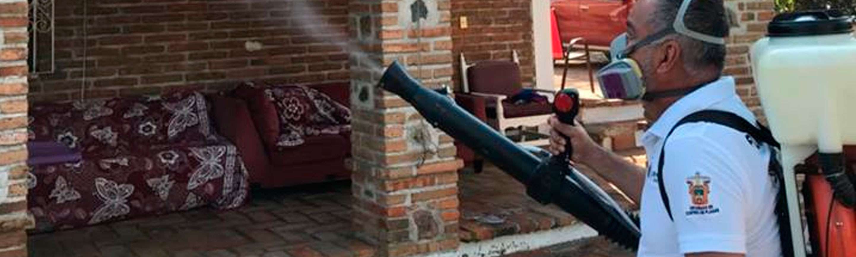 Portada de Hornet Pest Control