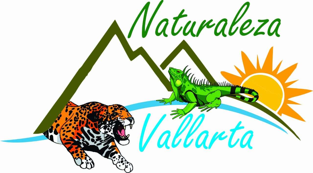 Portada de New store