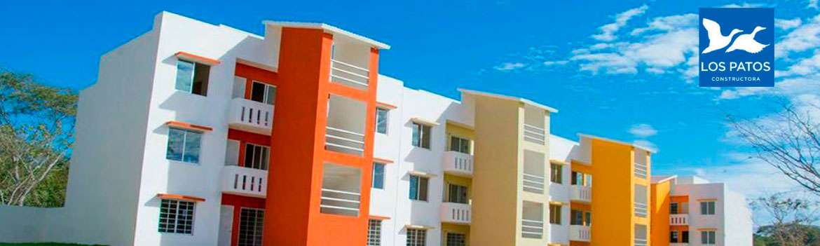 Portada de Constructora los patos