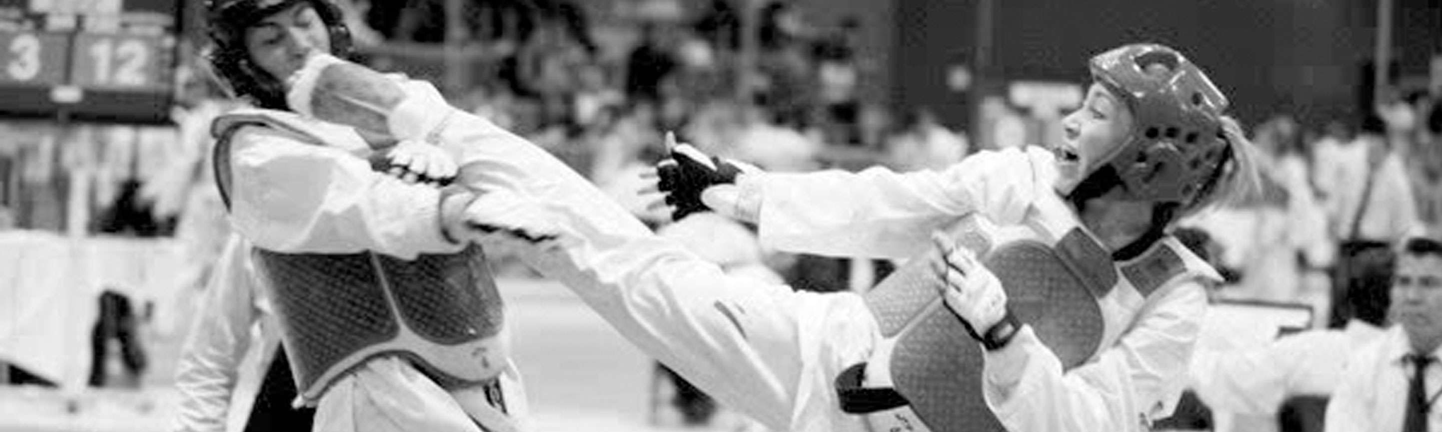 Portada de Taekwondo Puyng Dang