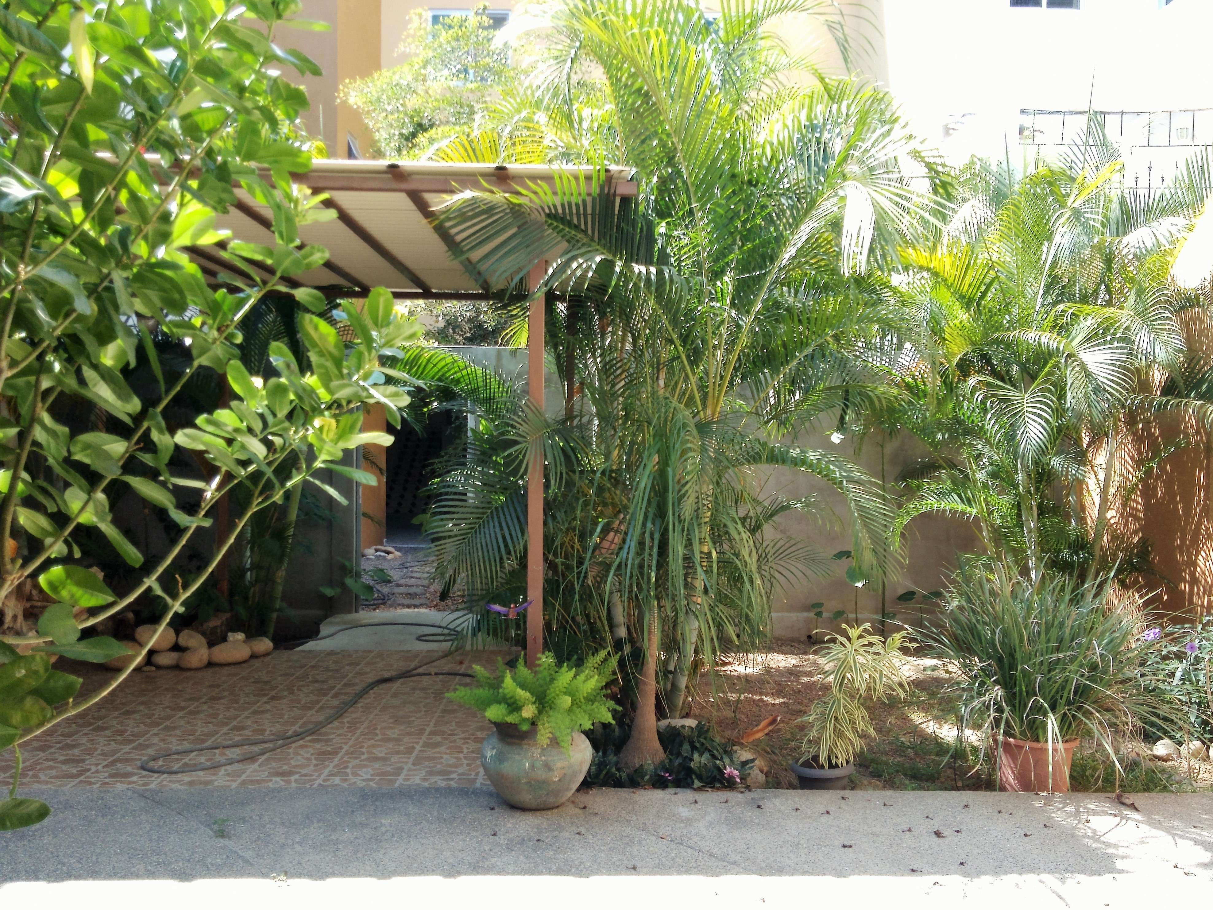 Portada de New store