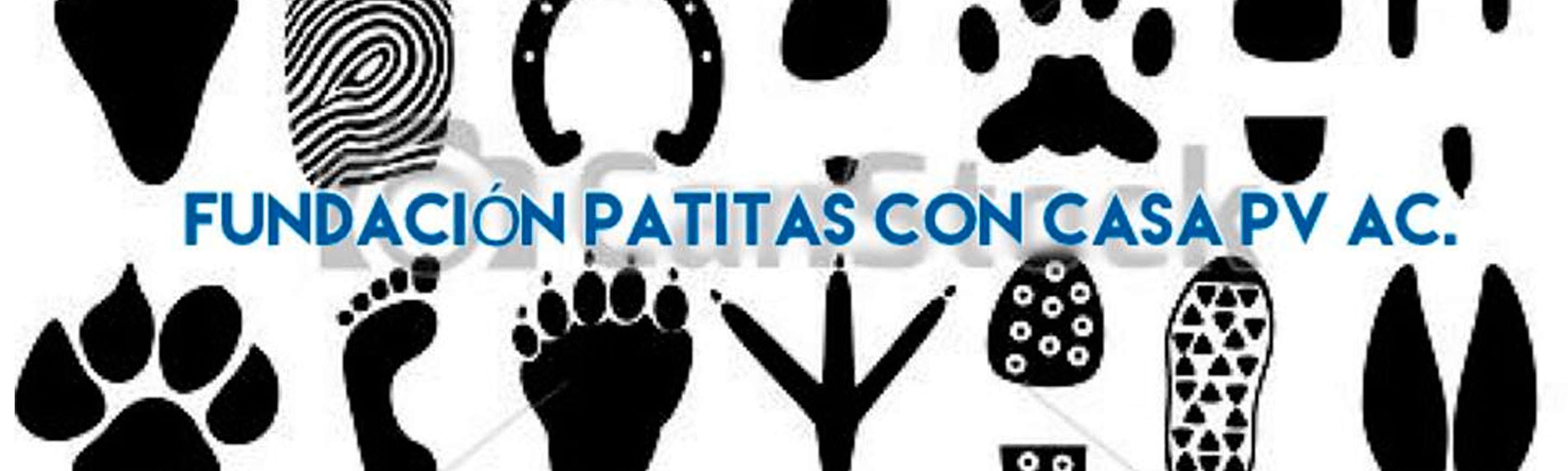 Portada de Fundación Patitas Con Casa PV