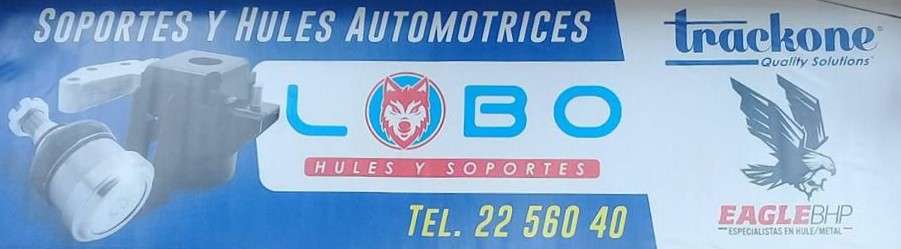 Portada de Hules y Soportes Lobo