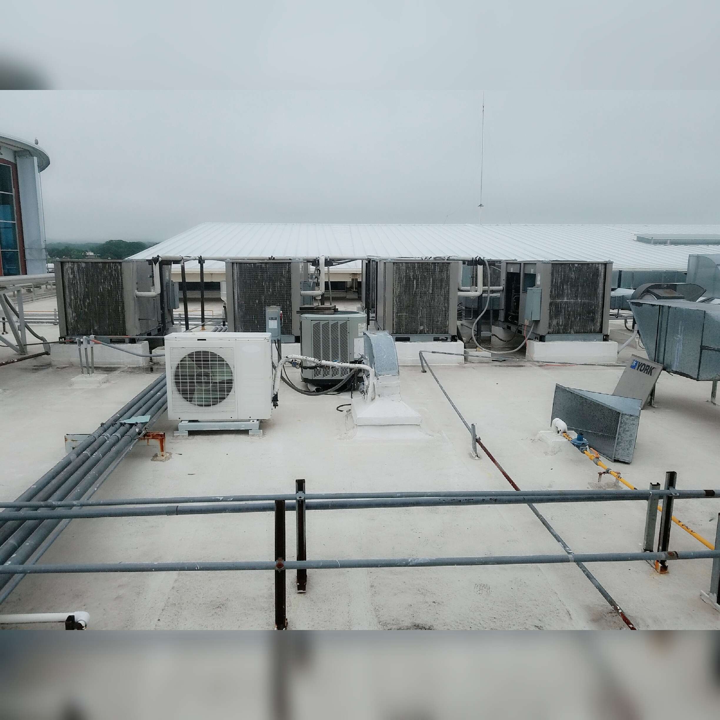 Portada de New store