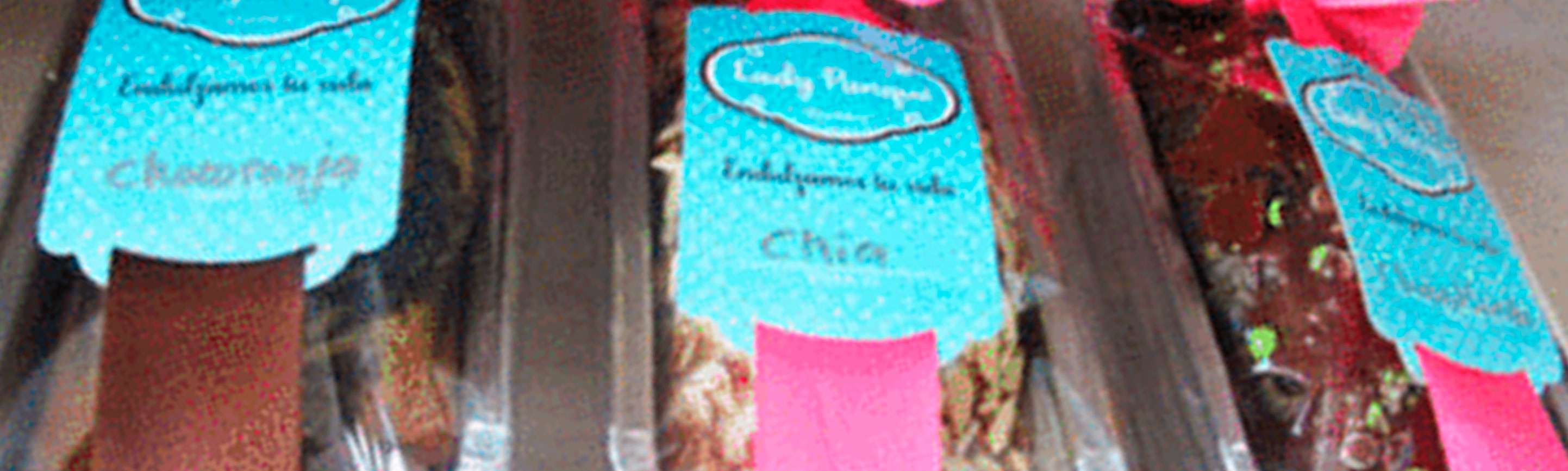 Portada de Lady Panqué