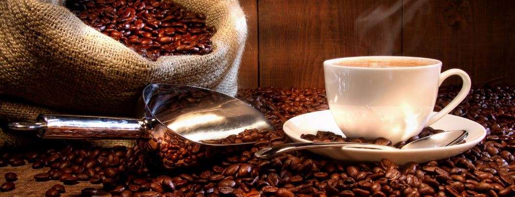 Portada de Café Taza Blanca 