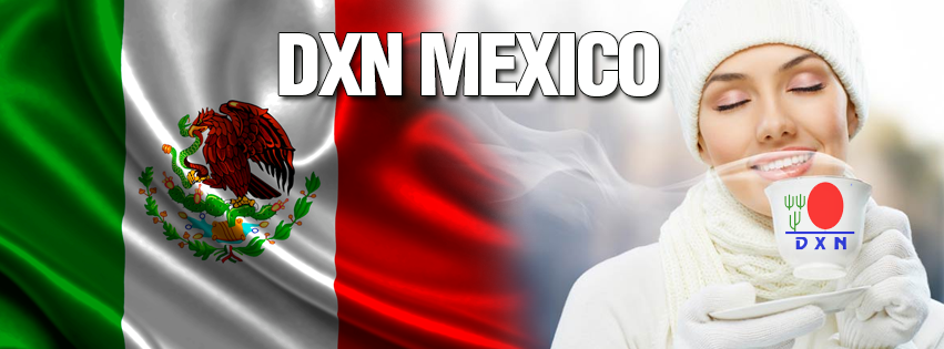 Portada de New store