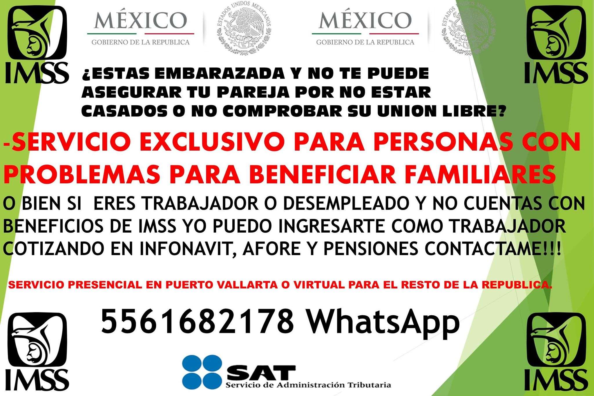 Portada de Asesoria IMSS