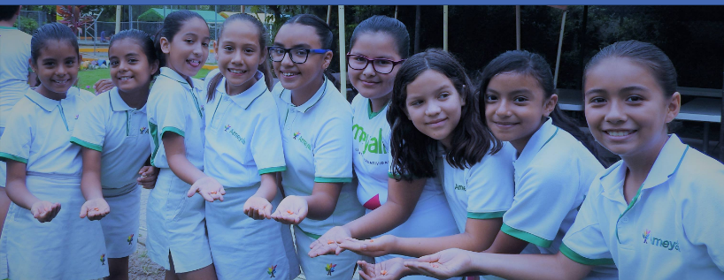 Portada de Colegio Ameyali