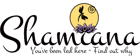 Portada de New store