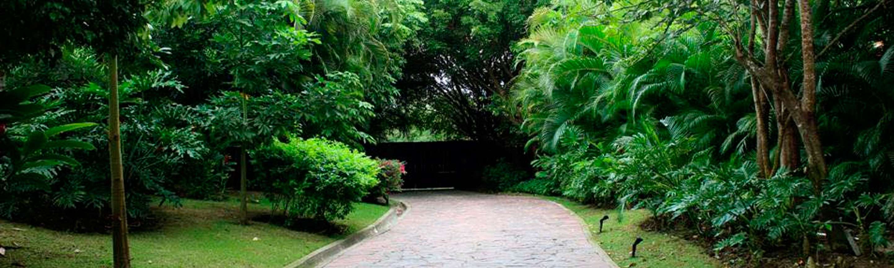 Portada de Greenland Landscaping