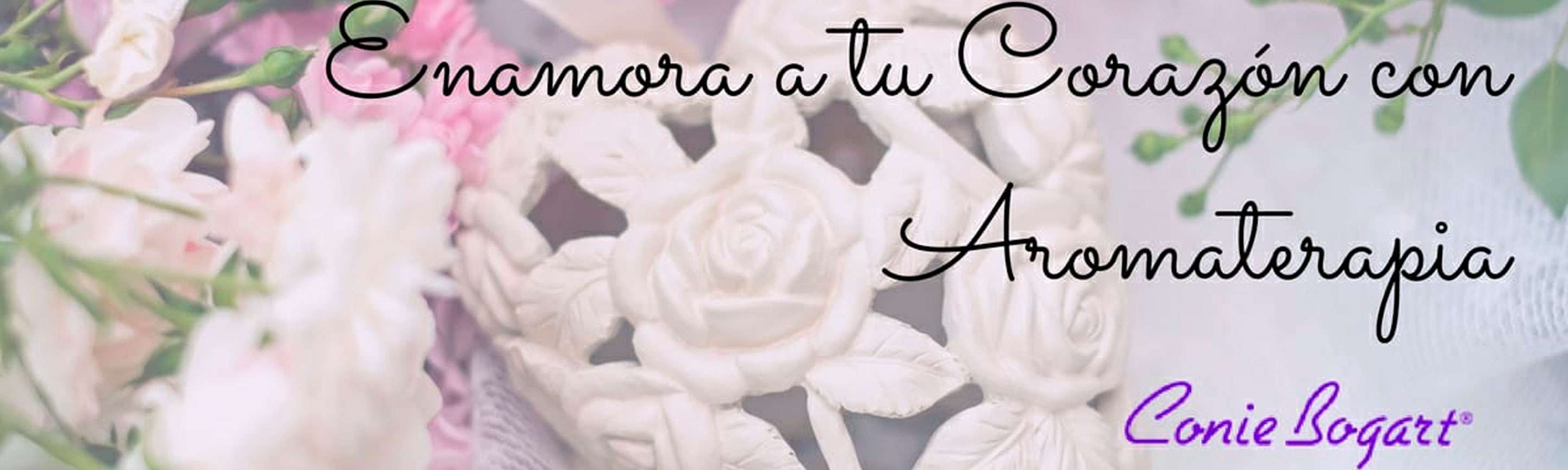 Portada de Conie Bogart