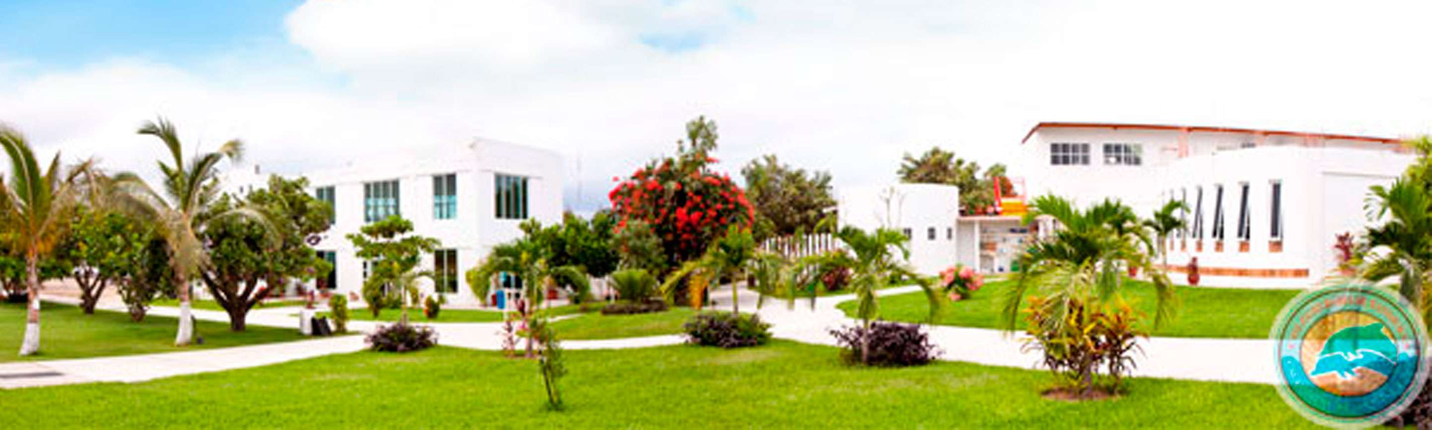 Portada de Colegio Bahía de Banderas