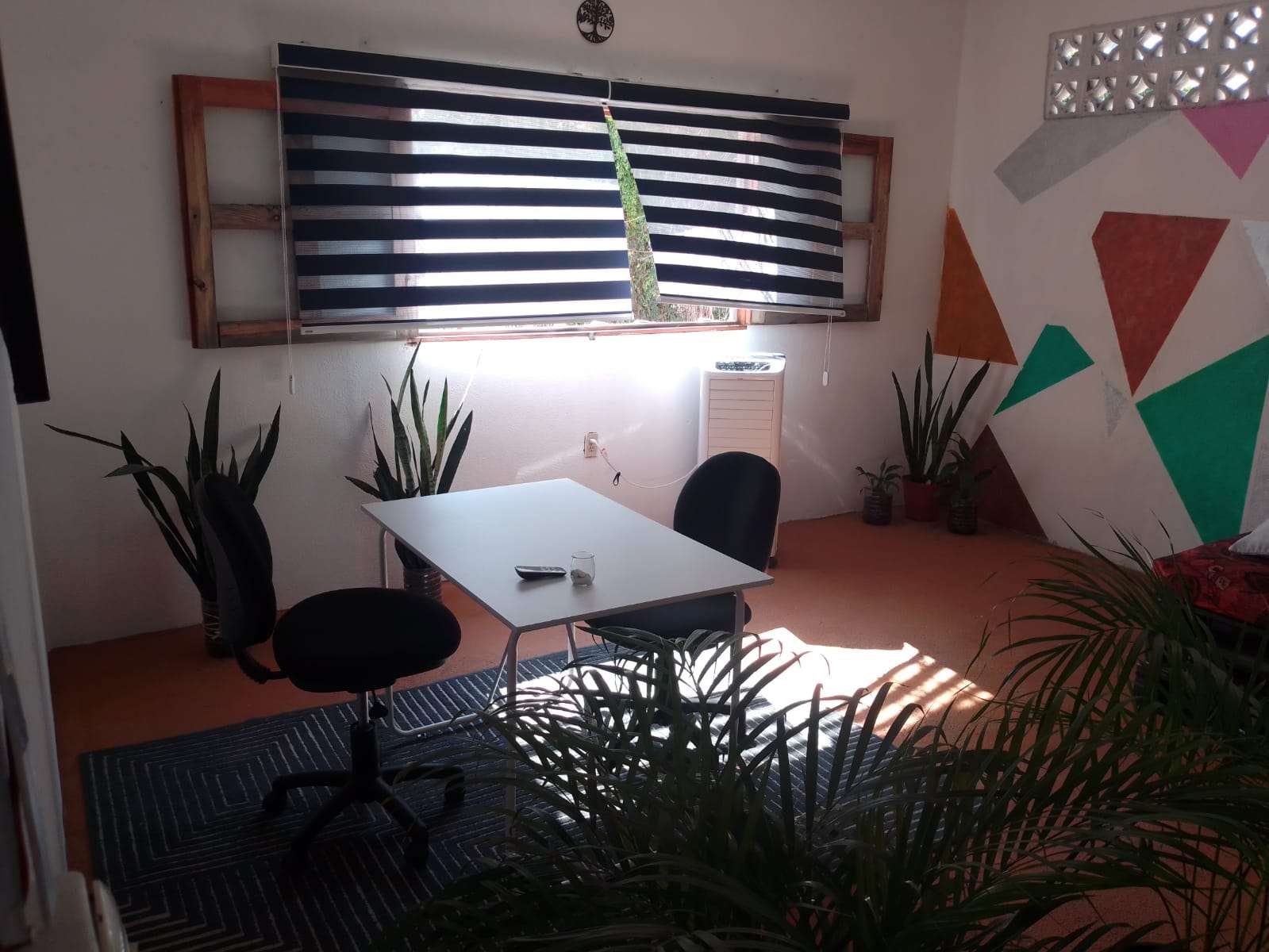 Portada de New store