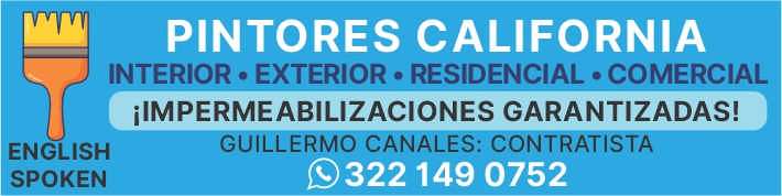 Portada de Pintores California